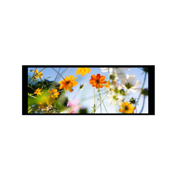 6,86 Zoll 480 × 1280 IPS TFT -Modul