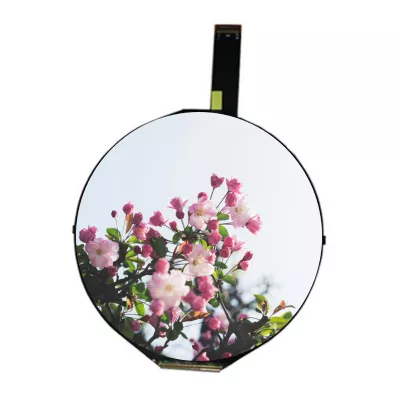 7 Zoll 1080 × 1080 Runde IPS TFT LCD