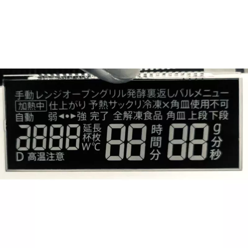VA -Segment -LCD -Modul